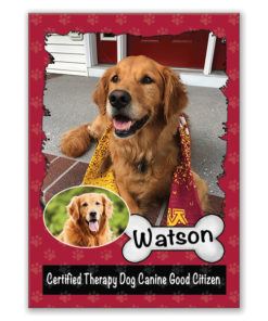 Therapy Dog Custom Trading Cards | Custom Sports Cards
