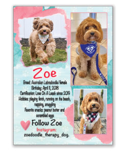 Therapy Dog Trading Cards | Custom Sports Cards