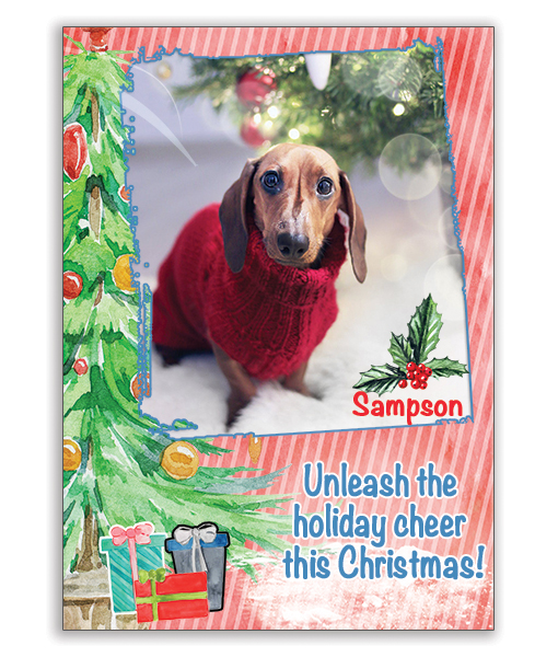 Holiday Cards featuring your pets!
