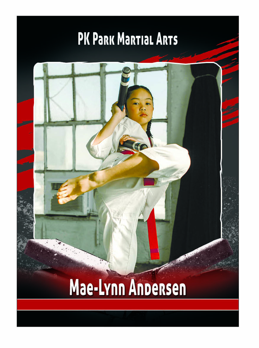 Martial Arts Trading Cards